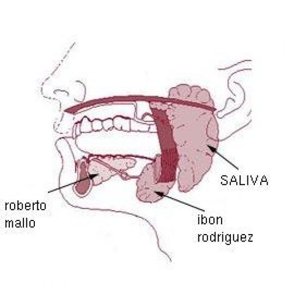 saliva